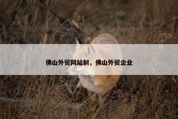佛山外贸网站制，佛山外贸企业