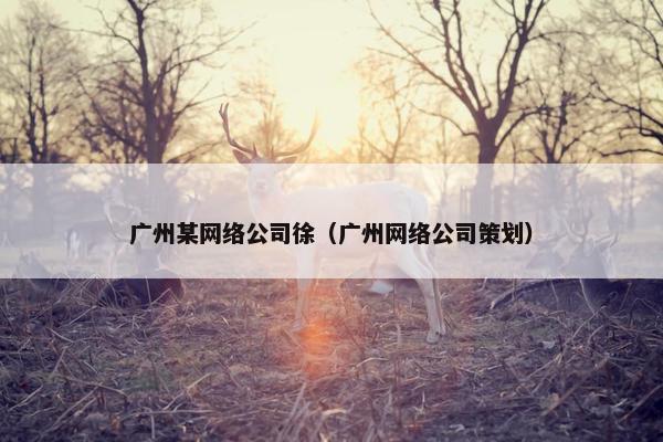 广州某网络公司徐（广州网络公司策划）