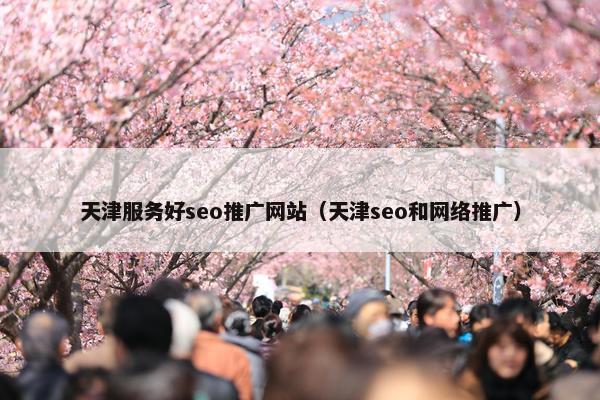 天津服务好seo推广网站（天津seo和网络推广）