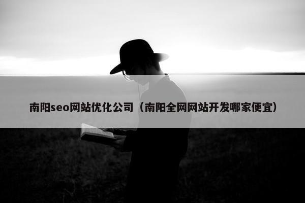 南阳seo网站优化公司（南阳全网网站开发哪家便宜）