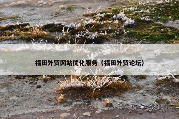 福田外贸网站优化服务（福田外贸论坛）
