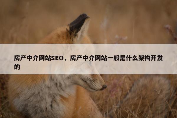 房产中介网站SEO，房产中介网站一般是什么架构开发的