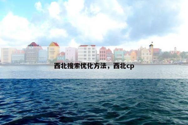 西北搜索优化方法，西北cp