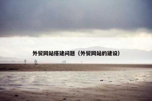 外贸网站搭建问题（外贸网站的建设）