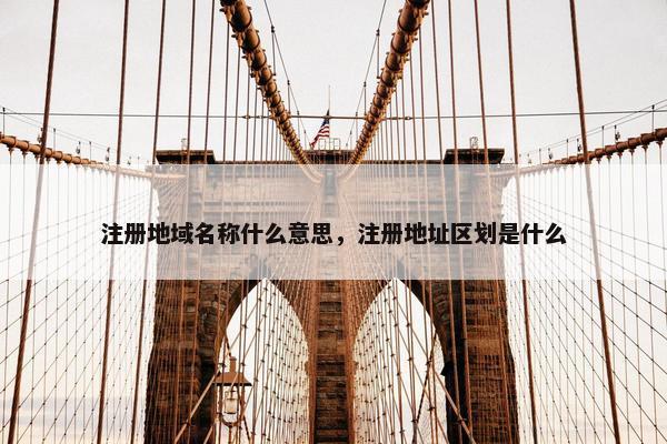 注册地域名称什么意思，注册地址区划是什么