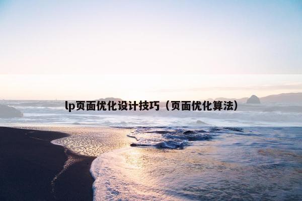 lp页面优化设计技巧（页面优化算法）