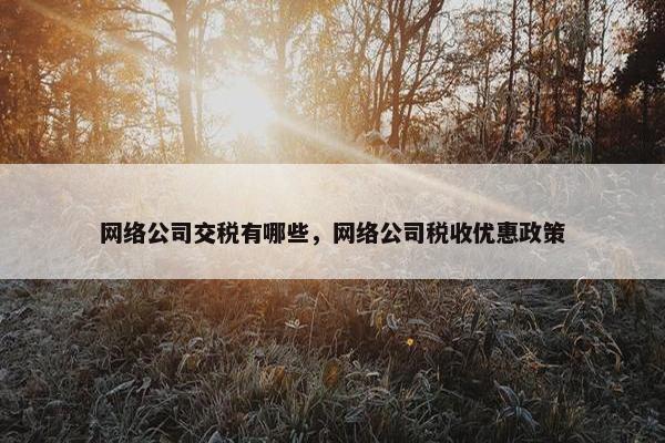 网络公司交税有哪些，网络公司税收优惠政策