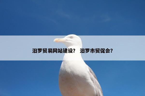 汨罗贸易网站建设？ 汨罗市贸促会？