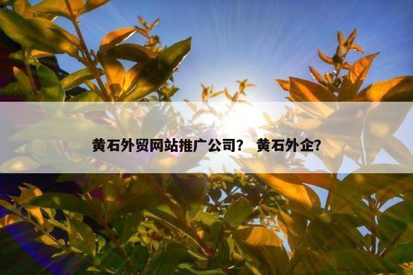 黄石外贸网站推广公司？ 黄石外企？