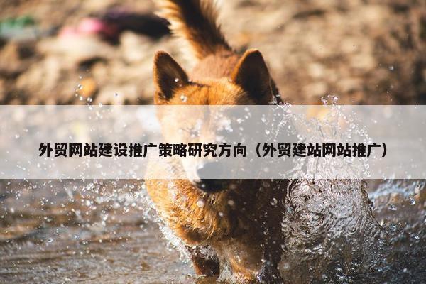 外贸网站建设推广策略研究方向（外贸建站网站推广）