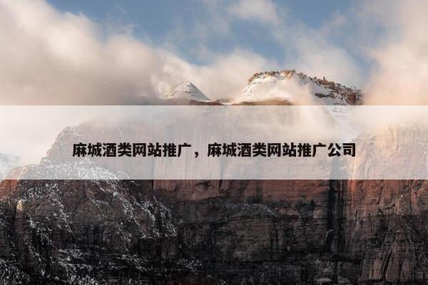 麻城酒类网站推广，麻城酒类网站推广公司