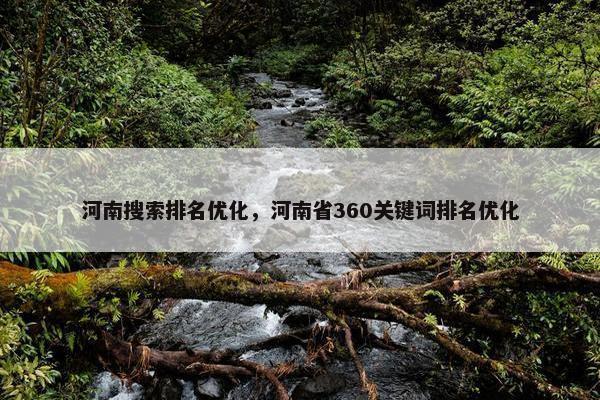 河南搜索排名优化，河南省360关键词排名优化