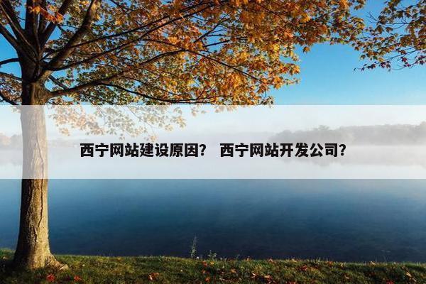 西宁网站建设原因？ 西宁网站开发公司？