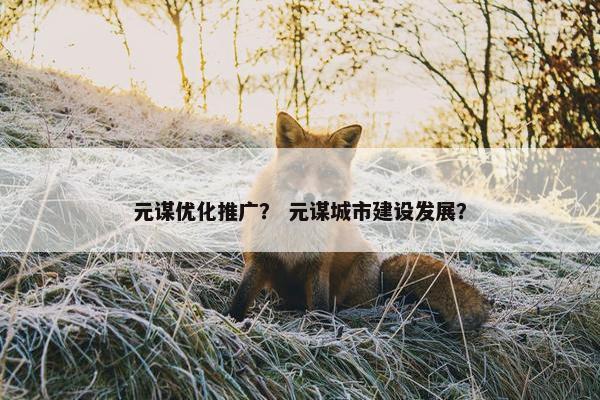 元谋优化推广？ 元谋城市建设发展？