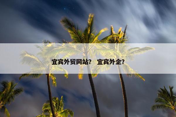 宜宾外贸网站？ 宜宾外企？