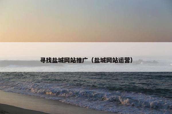 寻找盐城网站推广（盐城网站运营）