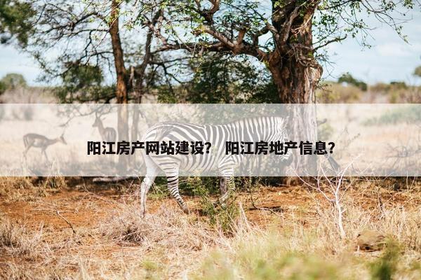 阳江房产网站建设？ 阳江房地产信息？