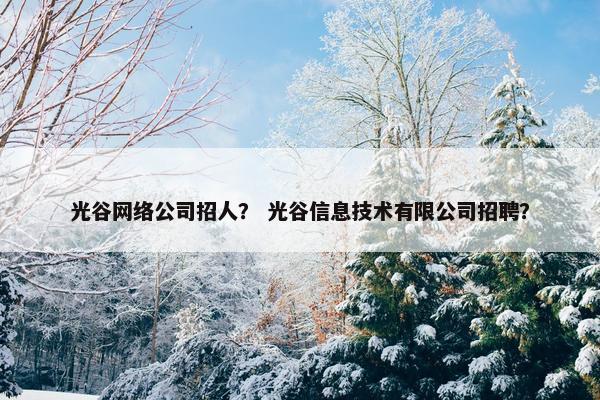 光谷网络公司招人？ 光谷信息技术有限公司招聘？