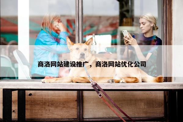 商洛网站建设推广，商洛网站优化公司