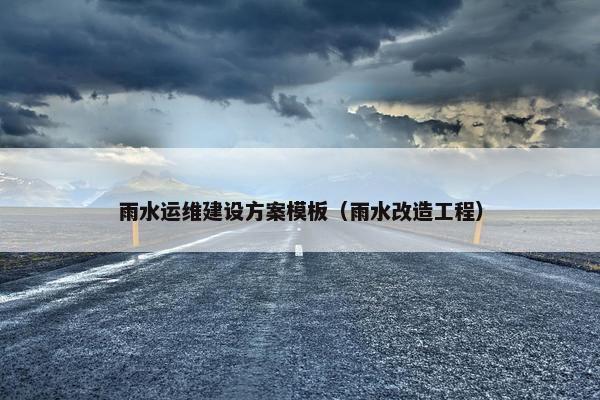 雨水运维建设方案模板（雨水改造工程）