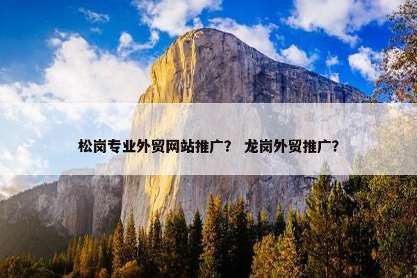 松岗专业外贸网站推广？ 龙岗外贸推广？