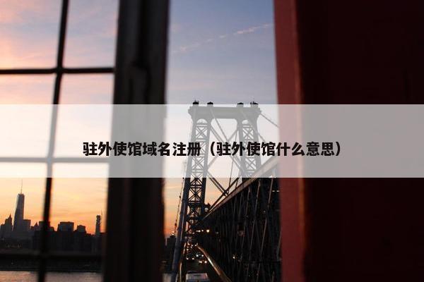 驻外使馆域名注册（驻外使馆什么意思）