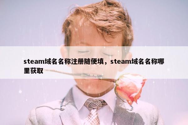 steam域名名称注册随便填，steam域名名称哪里获取