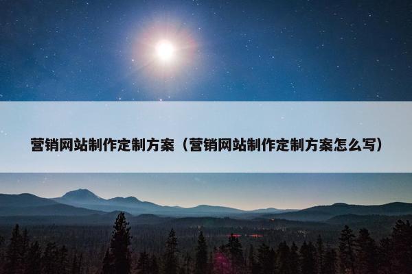 营销网站制作定制方案（营销网站制作定制方案怎么写）