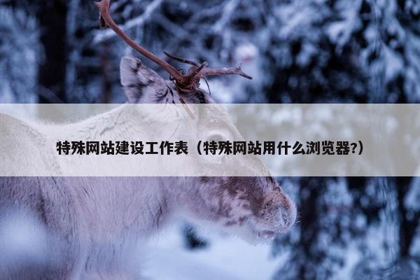 特殊网站建设工作表（特殊网站用什么浏览器?）