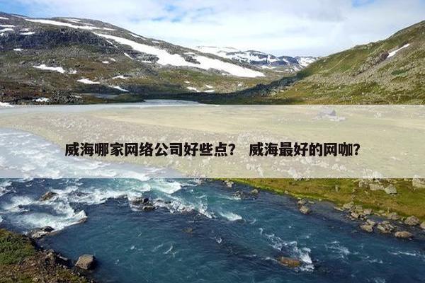 威海哪家网络公司好些点？ 威海最好的网咖？