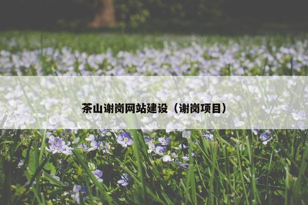 茶山谢岗网站建设（谢岗项目）