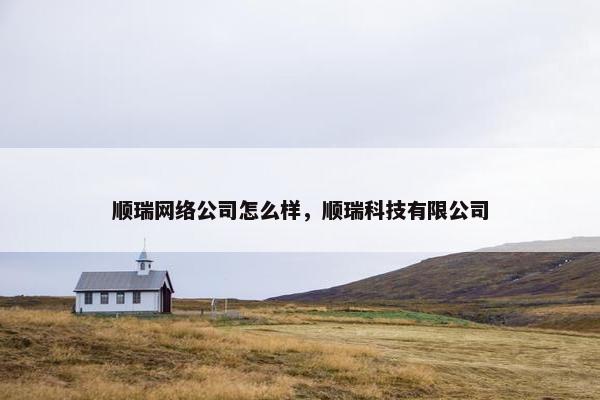 顺瑞网络公司怎么样，顺瑞科技有限公司