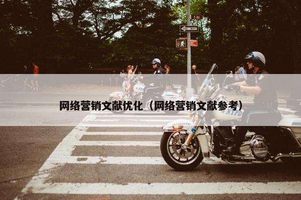 网络营销文献优化（网络营销文献参考）