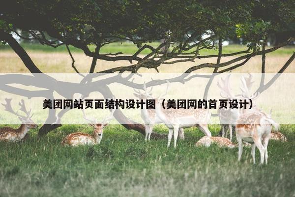 美团网站页面结构设计图（美团网的首页设计）