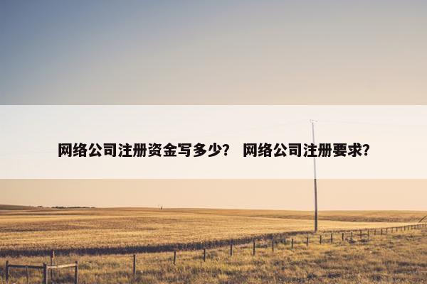 网络公司注册资金写多少？ 网络公司注册要求？