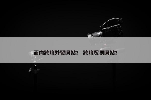 面向跨境外贸网站？ 跨境贸易网站？