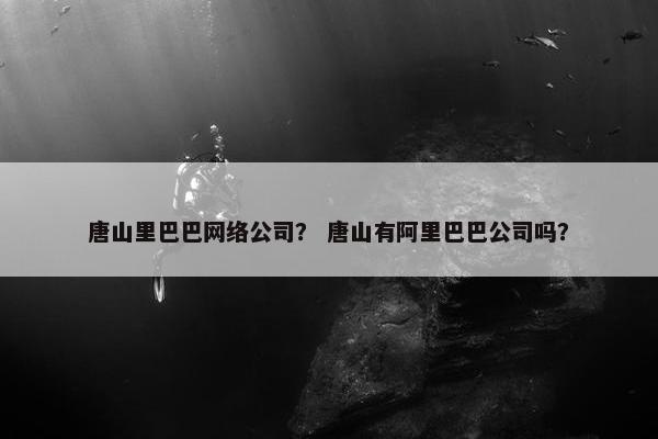 唐山里巴巴网络公司？ 唐山有阿里巴巴公司吗？