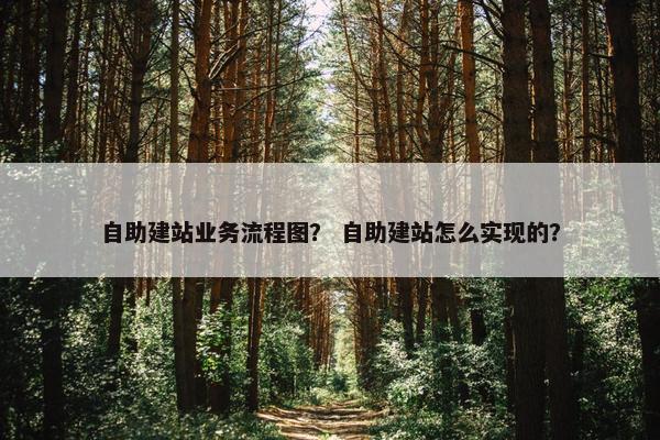 自助建站业务流程图？ 自助建站怎么实现的？