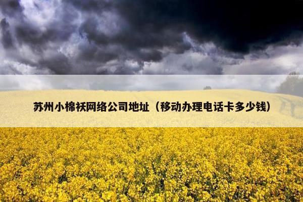 苏州小棉袄网络公司地址（移动办理电话卡多少钱）