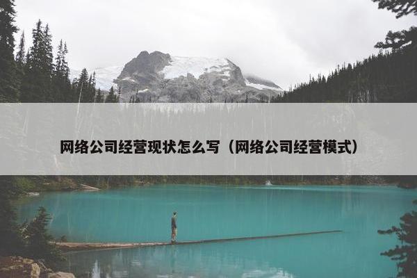 网络公司经营现状怎么写（网络公司经营模式）