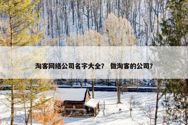 淘客网络公司名字大全？ 做淘客的公司？
