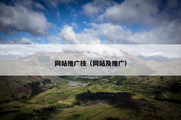 网站推广技（网站及推广）
