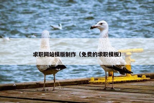 求职网站模版制作（免费的求职模板）