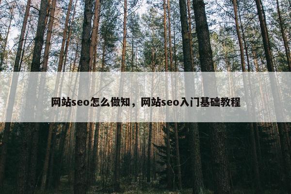 网站seo怎么做知，网站seo入门基础教程