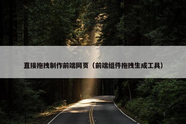 直接拖拽制作前端网页（前端组件拖拽生成工具）