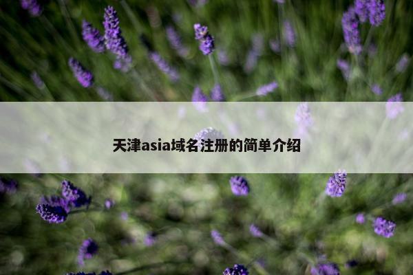 天津asia域名注册的简单介绍
