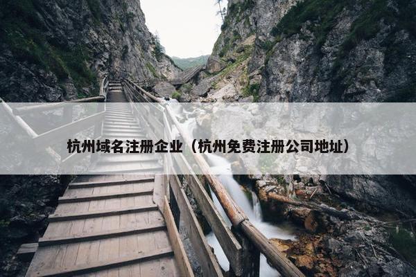 杭州域名注册企业（杭州免费注册公司地址）
