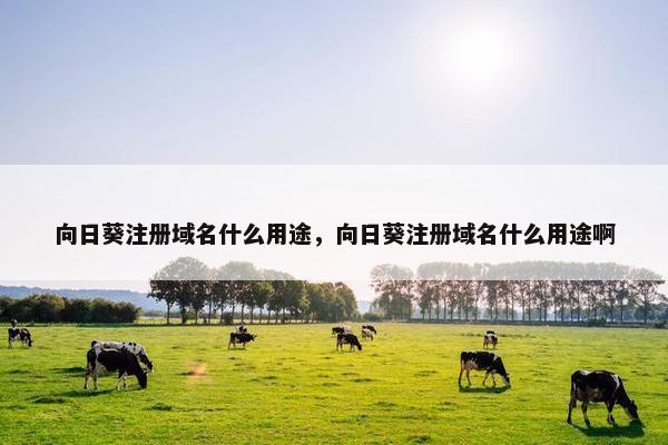 向日葵注册域名什么用途，向日葵注册域名什么用途啊