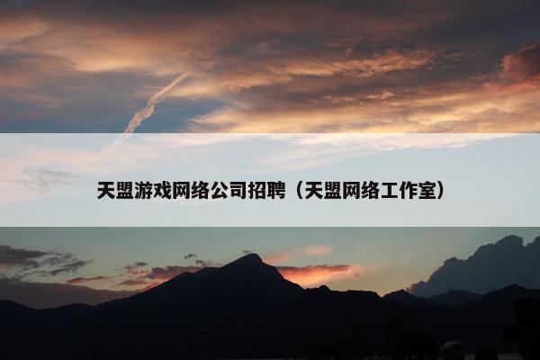 天盟游戏网络公司招聘（天盟网络工作室）