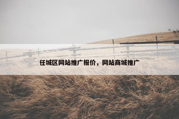 任城区网站推广报价，网站商城推广